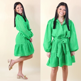 Fresh Air Sheer Gingham Print Button Up Dress in Green NonRestrictiveFit
