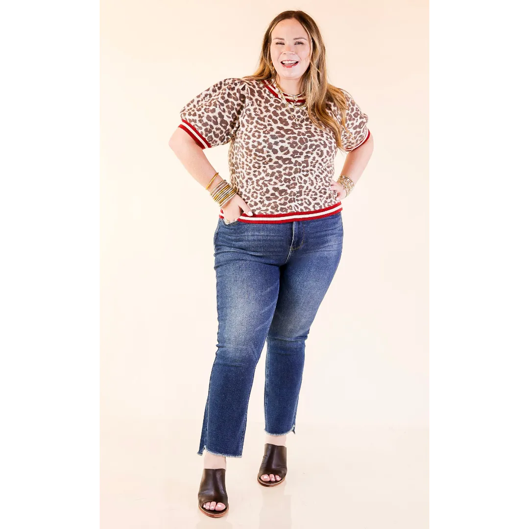 Feline Fine Leopard Print Short Sleeve Sweater with Contrast Trim in Maroon Flexible Waistband Adaptation FrictionResistantEdges