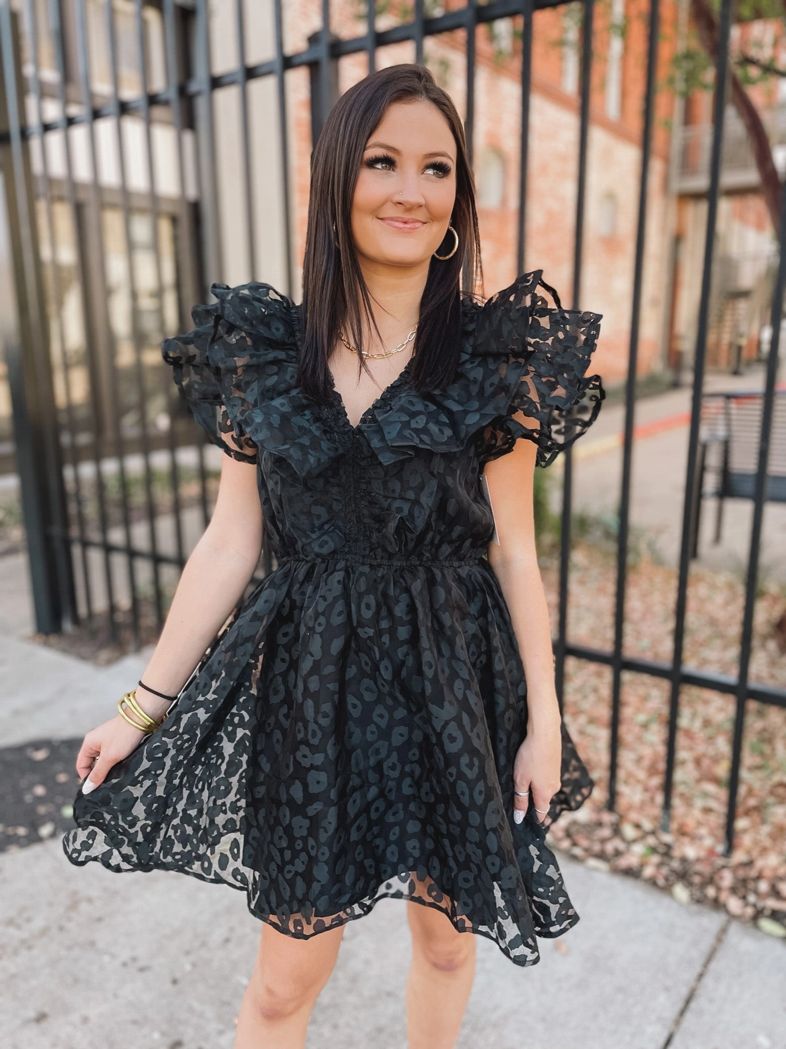 Wind Glow Warm Pullover Welcome To Hollywood Sheer Leopard Print Dress with Ruffle Detail in Black